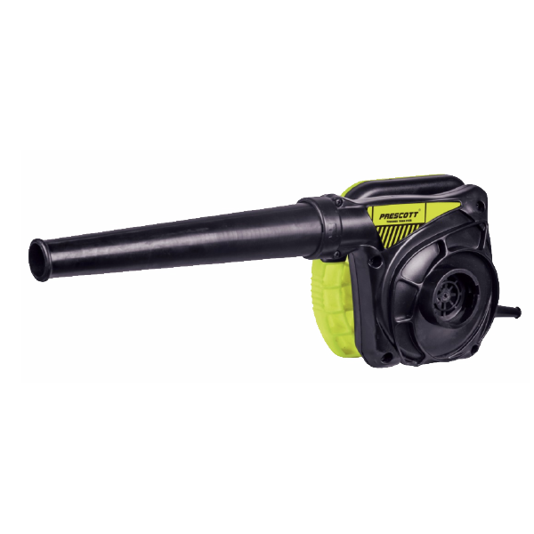 Electric Blower 800W PT2280001